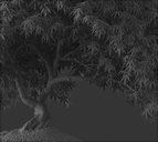 مدل بنسای بن سای